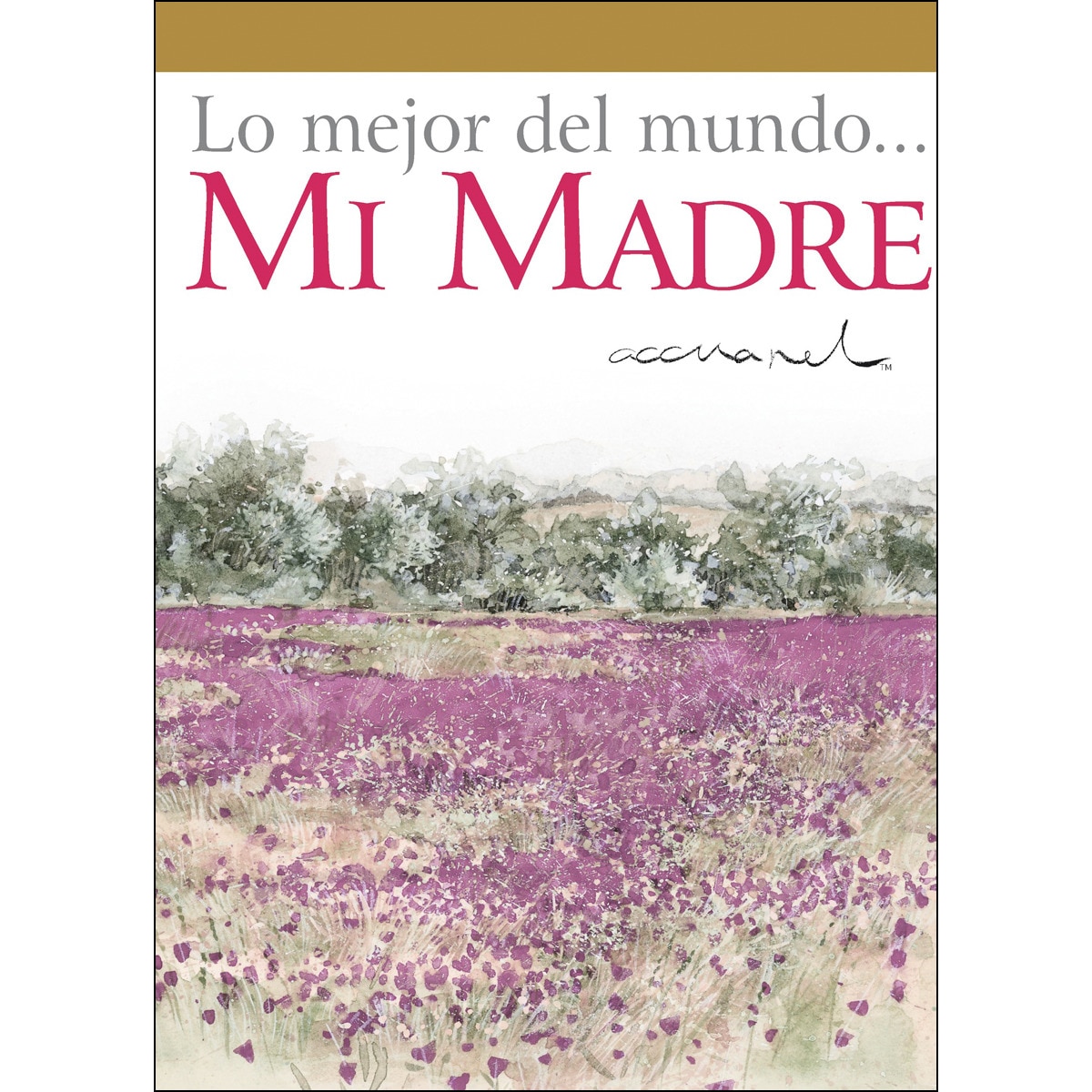 Imagem 0 de Lo Mejor Del Mundo. Mi Madre