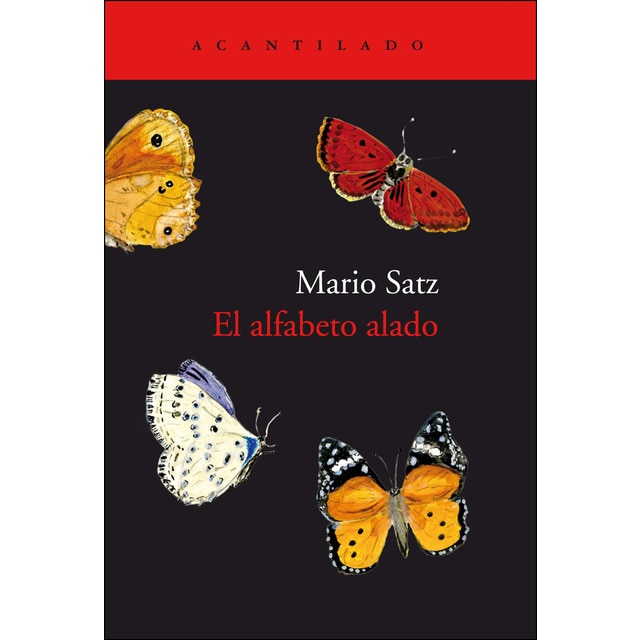 Imagen 0 de El alfabeto alado