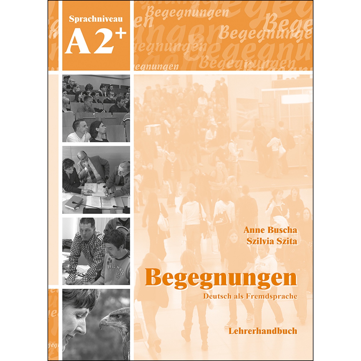 Begegnungen A2+: Lehrerhandbuch 1
