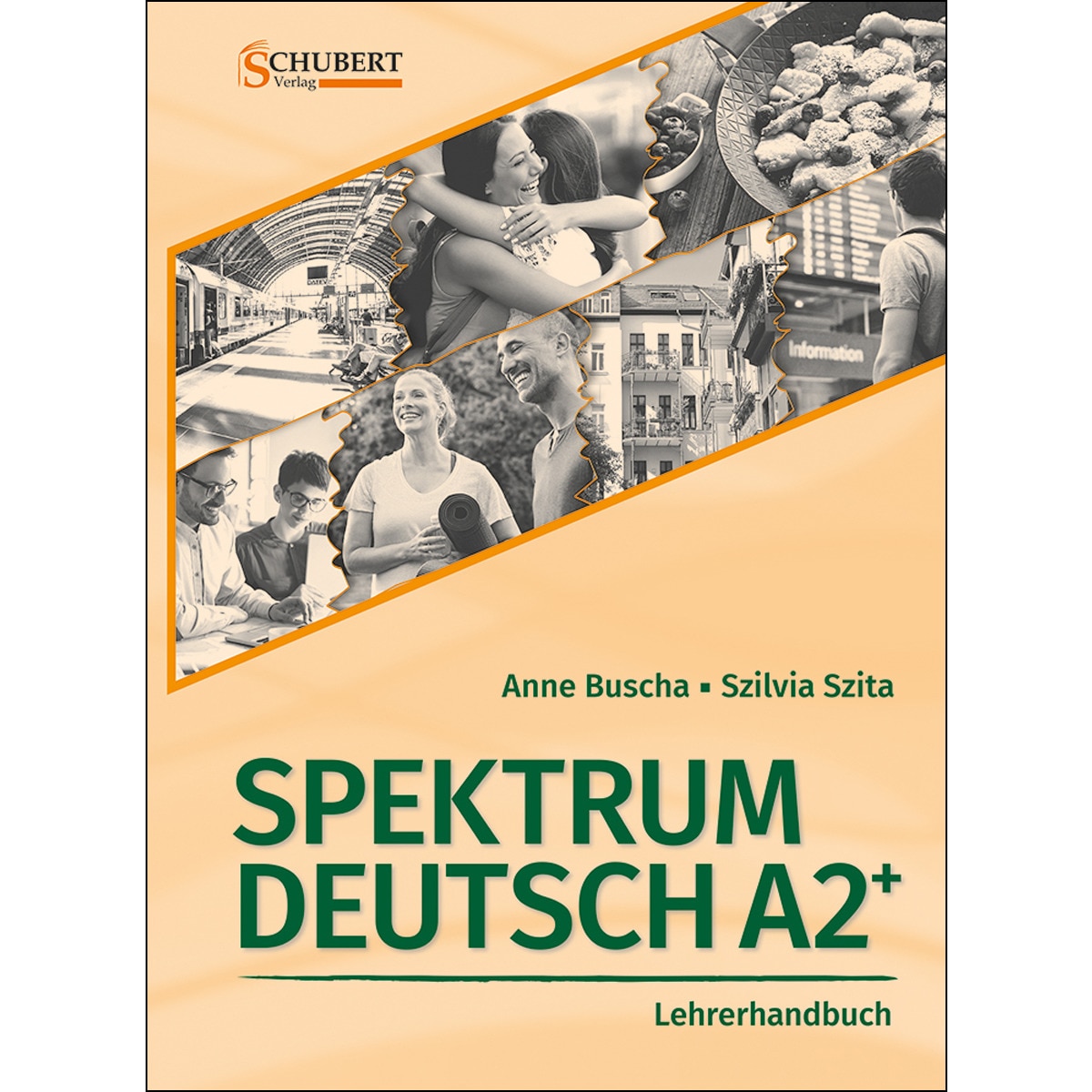 Spektrum Deutsch A2+: Lehrerhandbuch 1