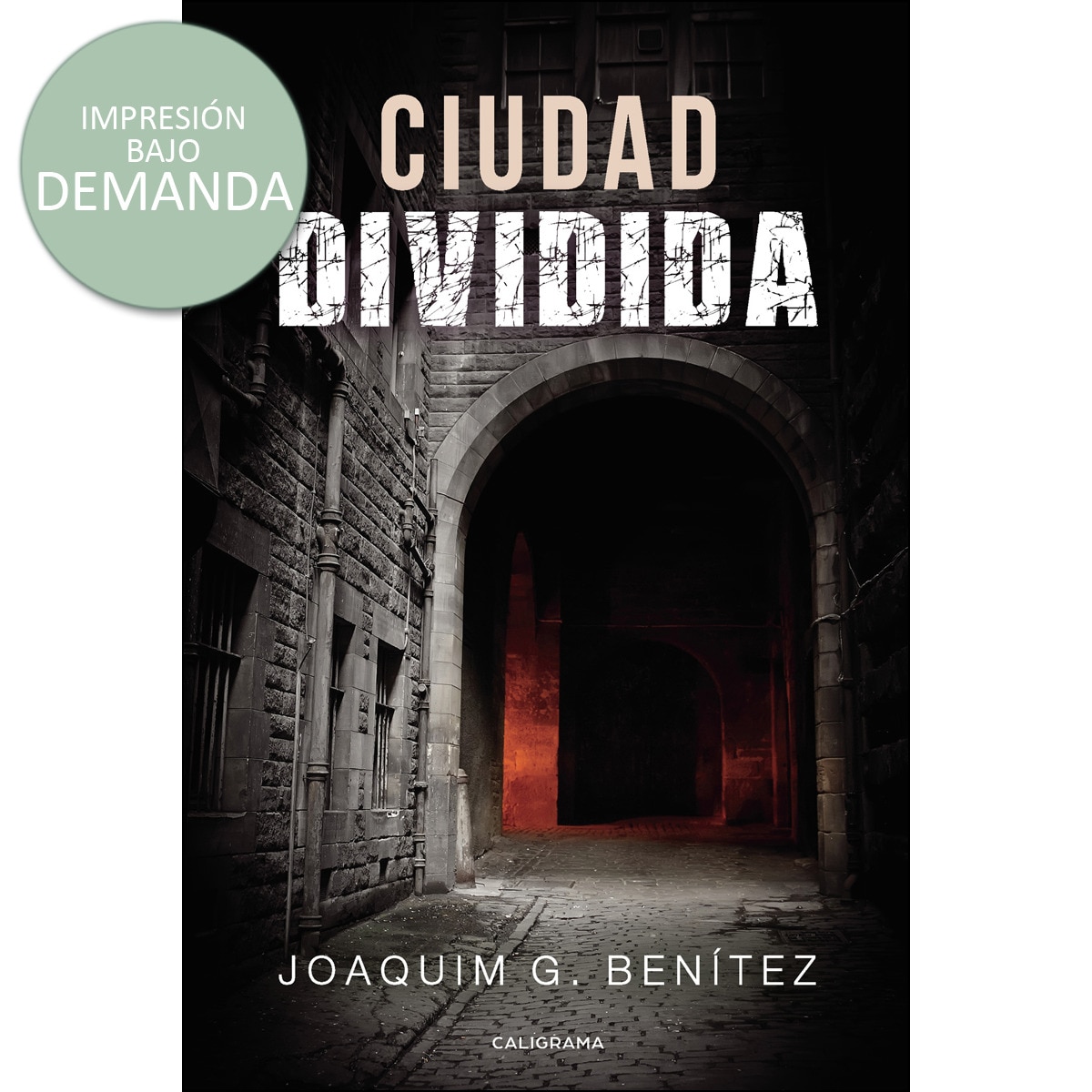 Ciudad dividida(Tapa blanda) 1