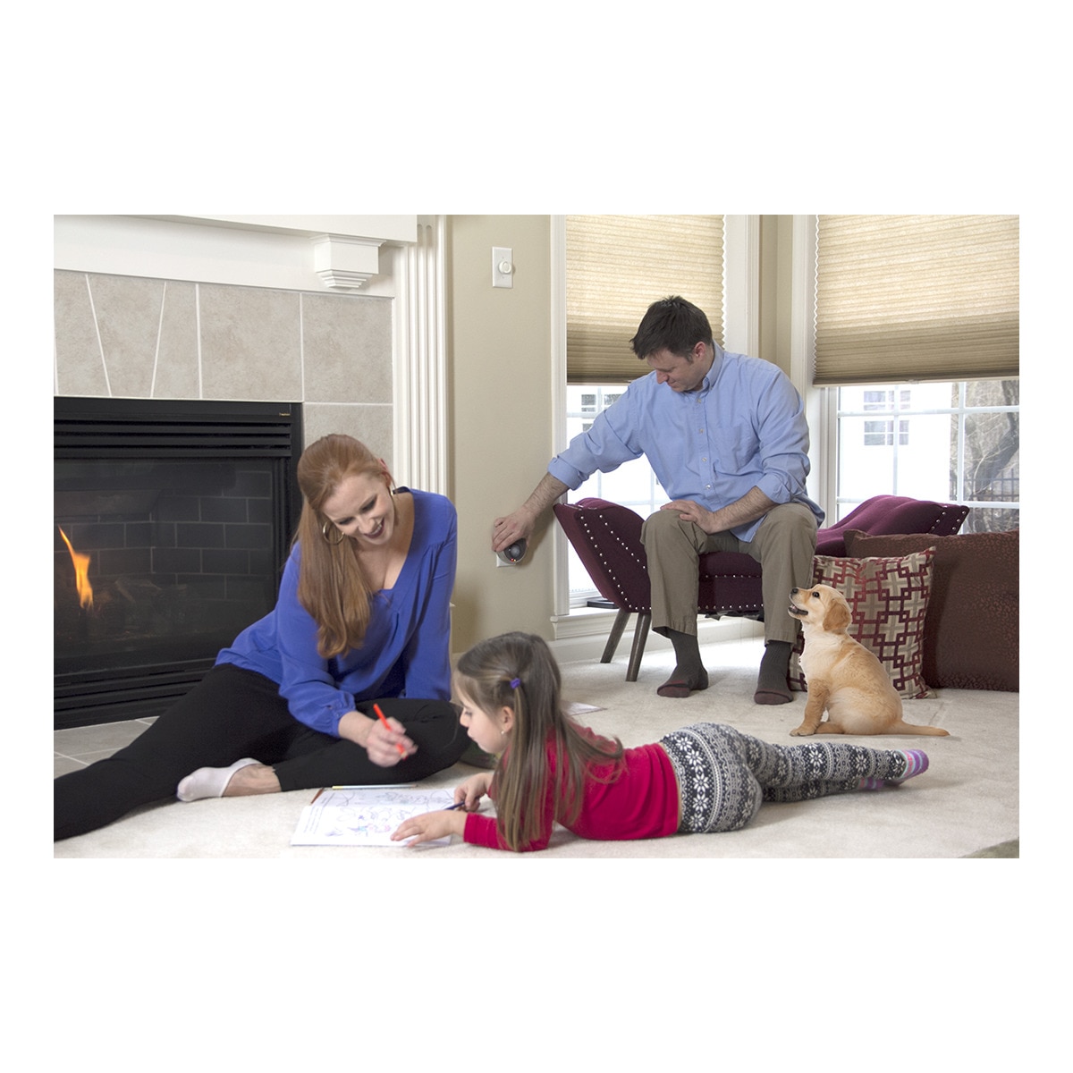 Ahuyentador Pest Reject Pro para insectos, roedores e insectos voladores 6