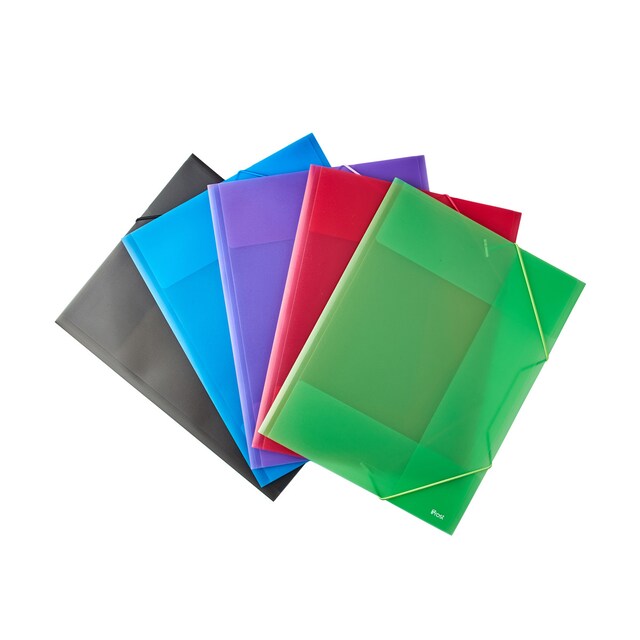 Imagen 0 de Pack 5 Carpetas Gomas con Solapas Frost Multicolor