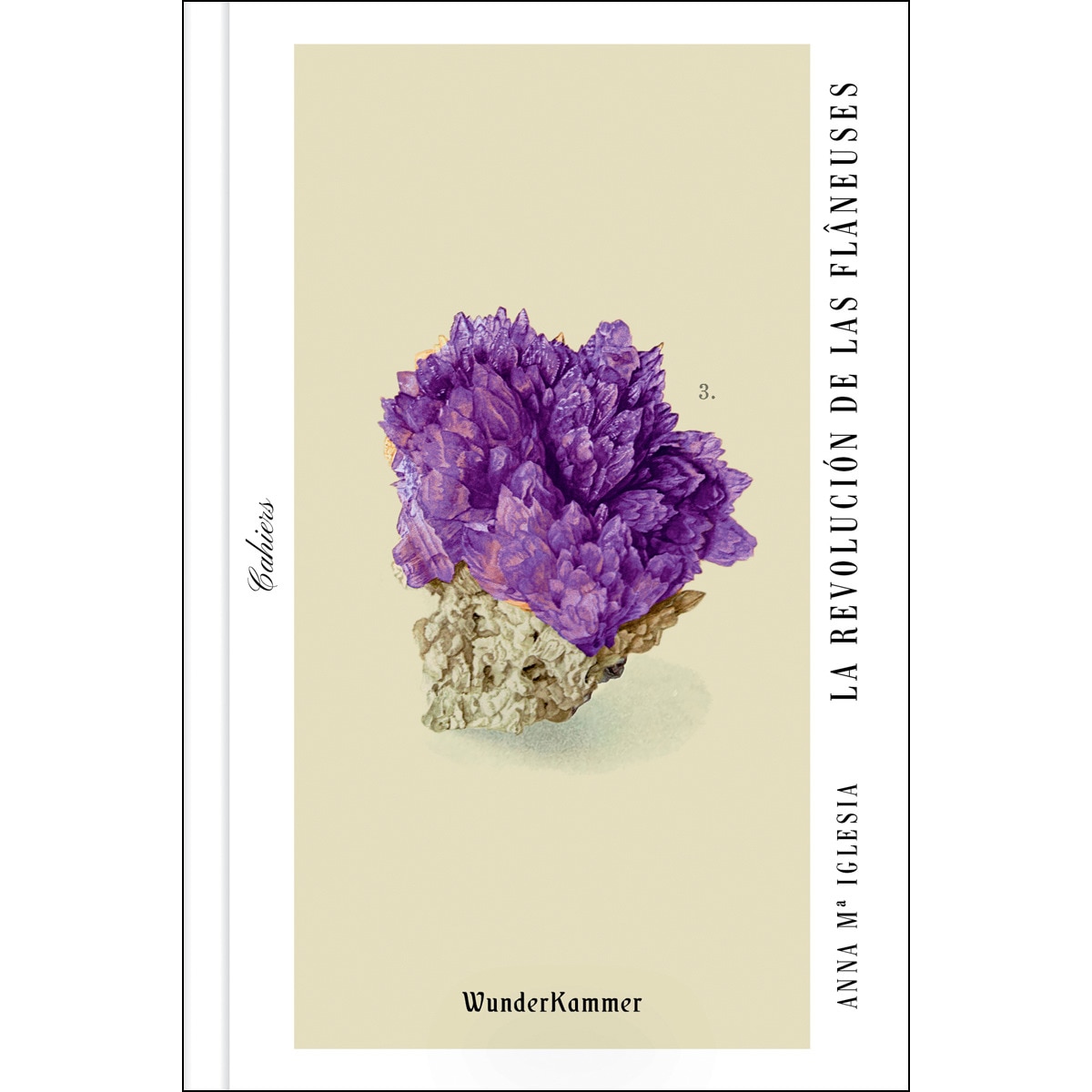 Imagem 0 de La Revolución De Las Flâneuses