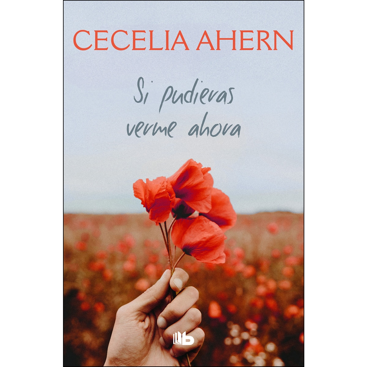 Imagem 0 de Si pudieras verme ahora(Tapa blanda)