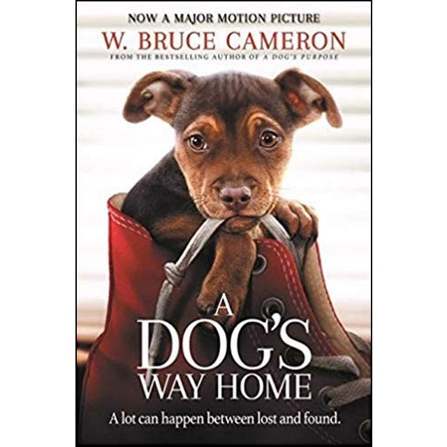 A dog's way home (film) 1