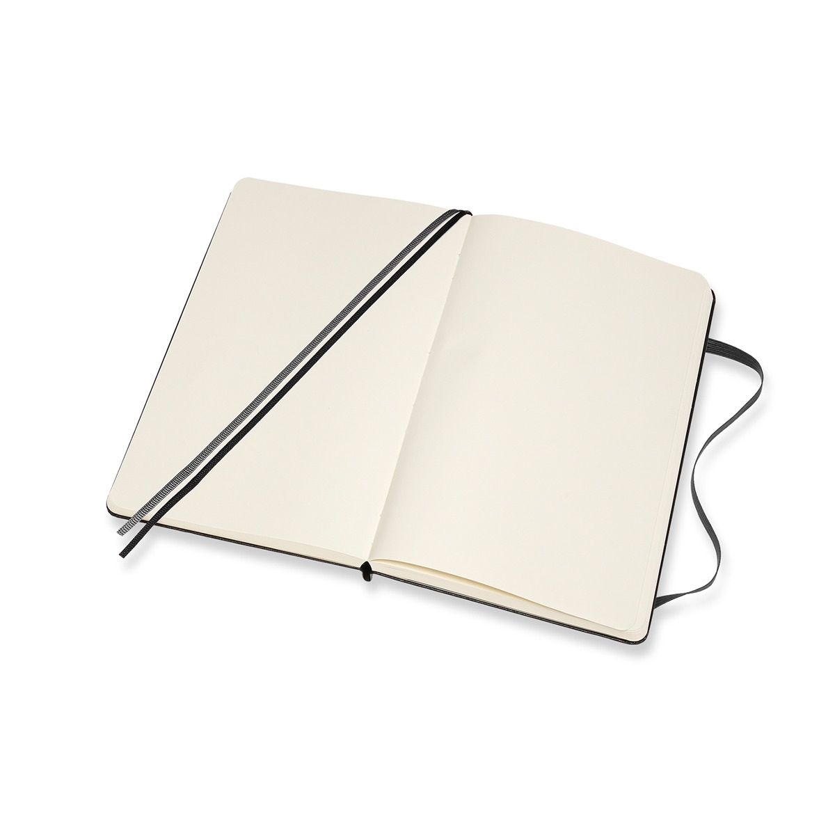 Cuaderno Large Expanded Tapa Dura Hojas Lisas Classic Moleskine Negro Negro-2