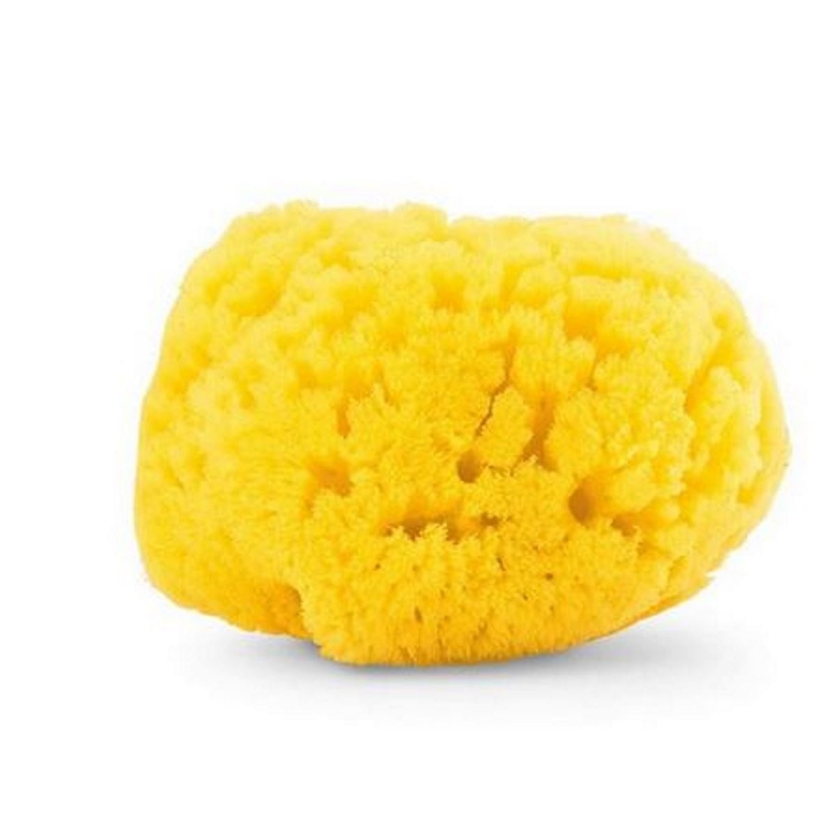 Esponja marinha natural média Chicco 1