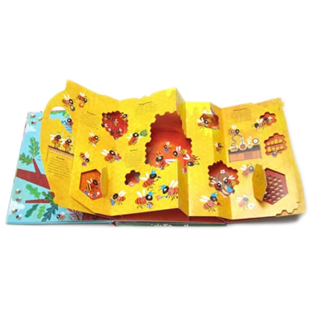 Pop inside: animal homes 1