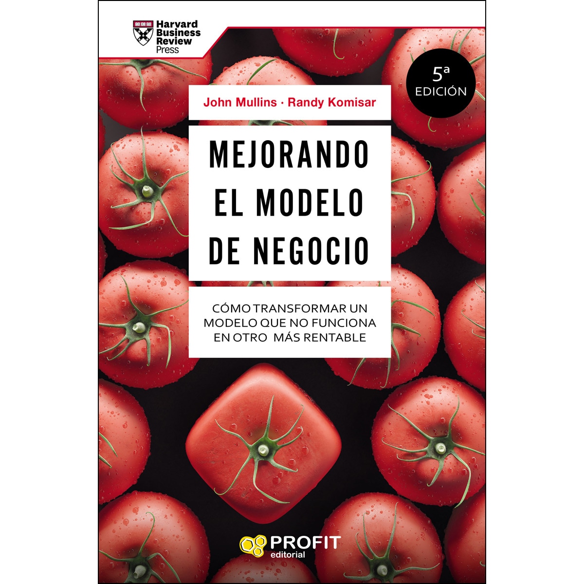 Mejorando el modelo de negocio 1