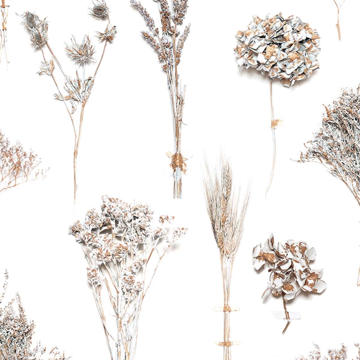 Imagem 0 de Papel de parede ramos Coordonne