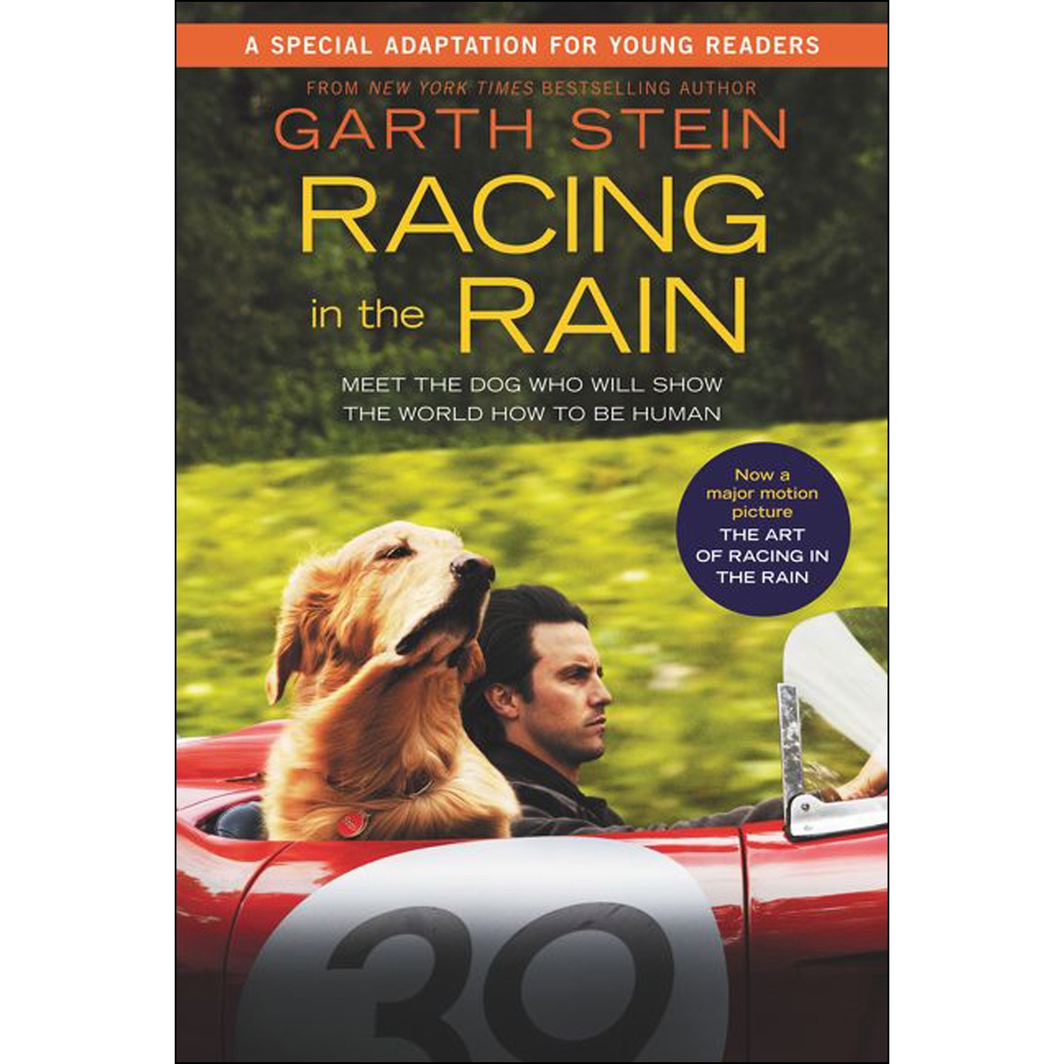 Imagem 0 de The art of racing in the rain (film)