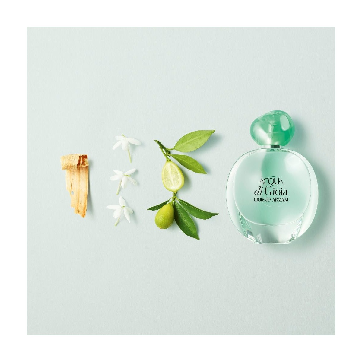 Eau de Parfum Acqua di Gioia 100 ml Giorgio Armani 7