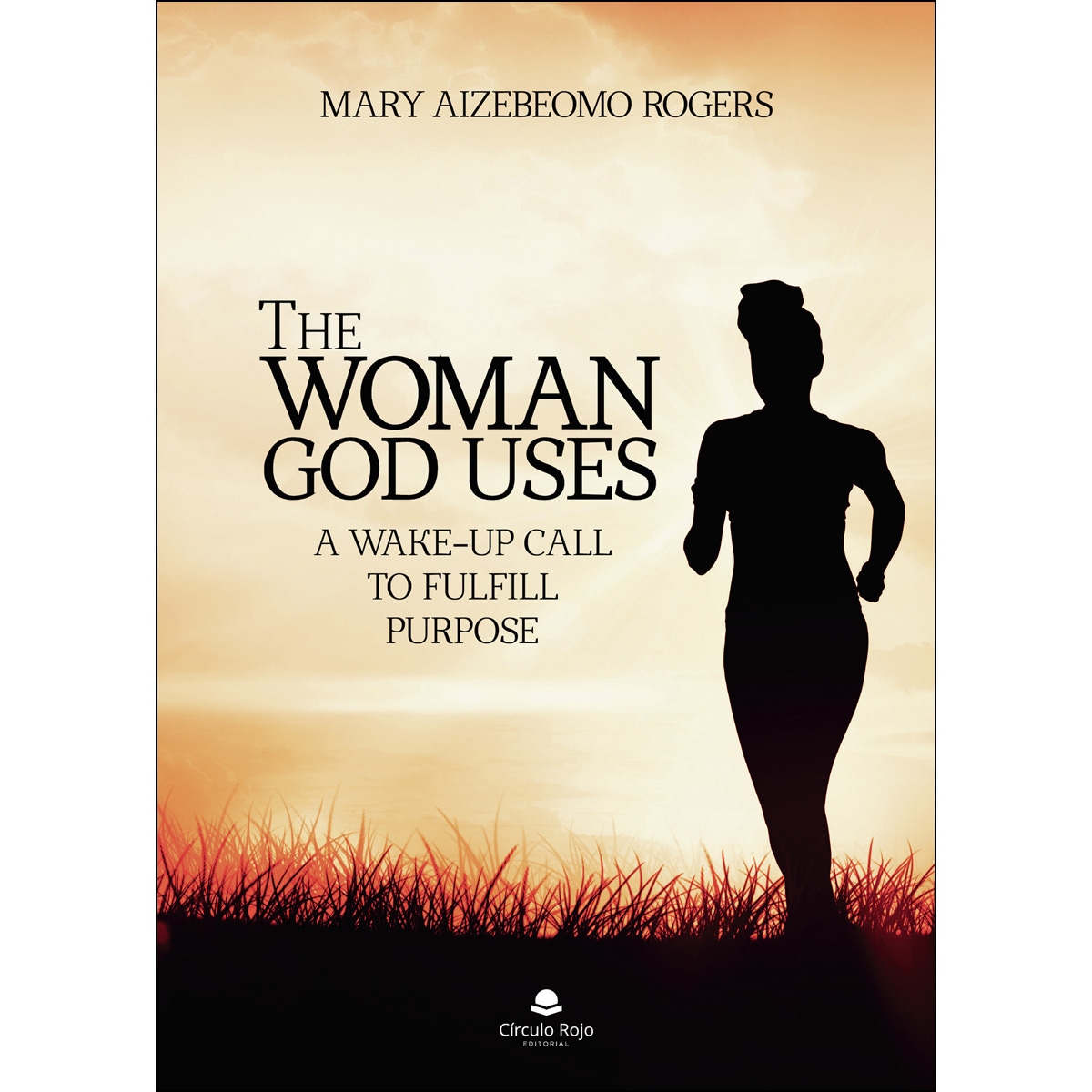 Imagem 0 de The Woman God Uses (Capa mole)