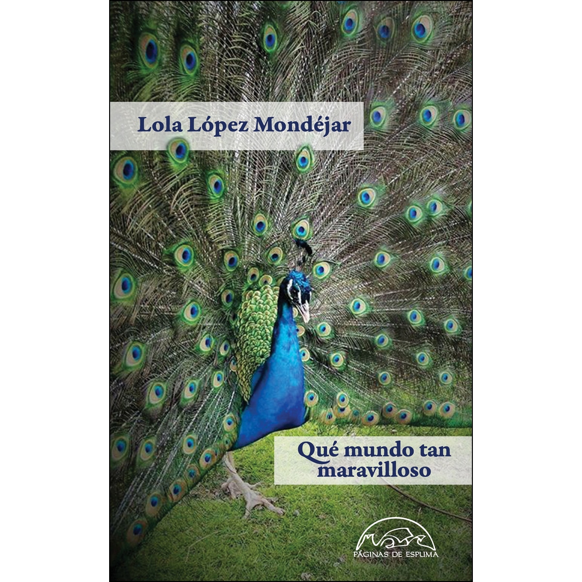 Imagem 0 de Qué mundo tan maravilloso