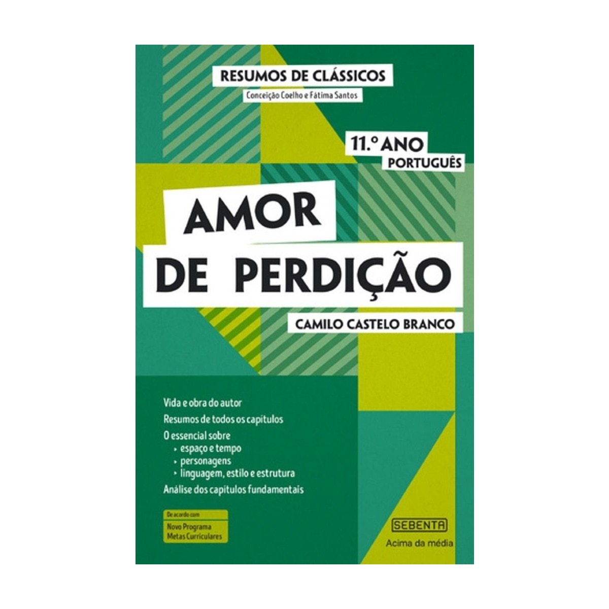 Imagem 0 de Resumos de Clássicos - Amor de Perdição 11º Ano Português