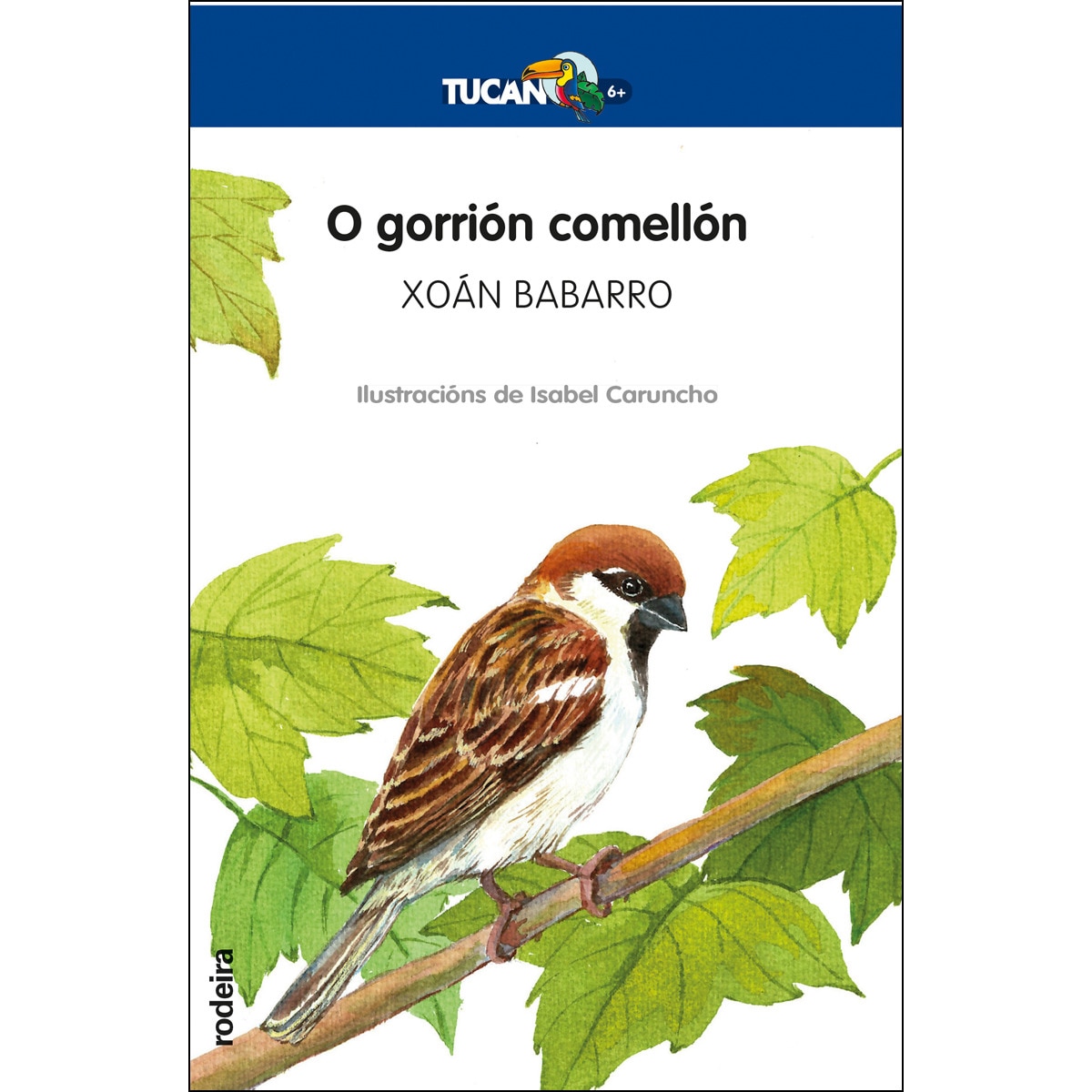 O GORRIÓN COMELLÓN (Capa mole) 1