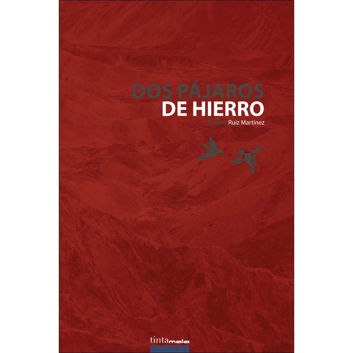 Dos Pájaros De Hierro 1