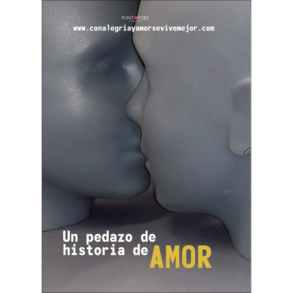 Un pedazo de historia de amor(Tapa blanda) 1