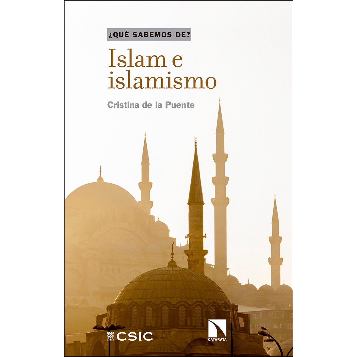 Imagem 0 de Islam e islamismo(Tapa blanda)
