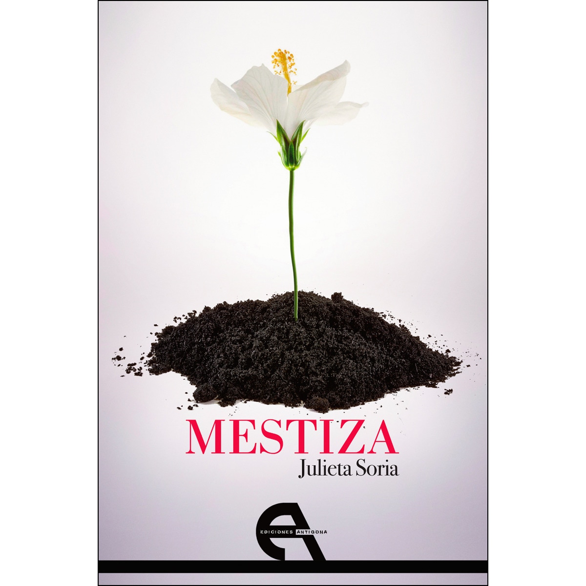 Imagen 0 de Mestiza  (Tapa blanda con solapas)