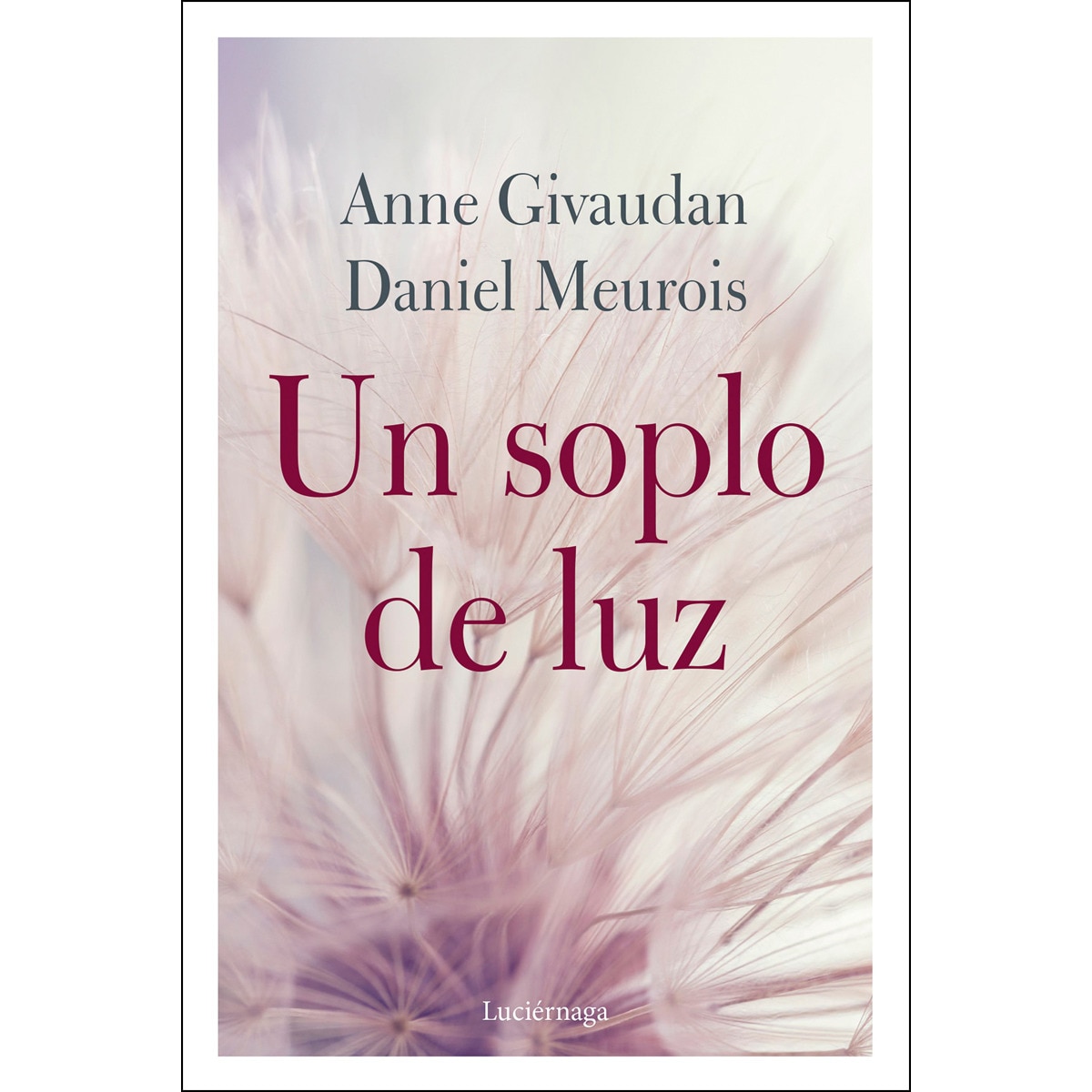 Un soplo de luz (Capa mole com abas) 1