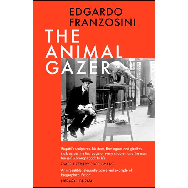 Imagem 0 de The animal gazer