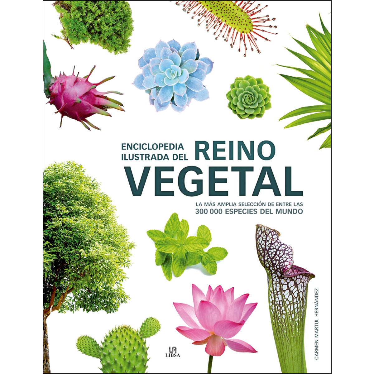 Imagem 0 de Enciclopedia ilustrada del reino vegetal: La más amplia selección de entre las 300. 000 especies del mundo(Tapa dura)