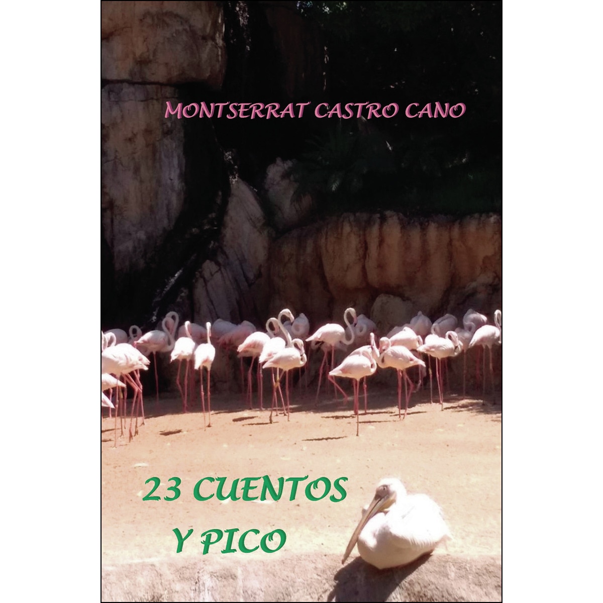23 Cuentos Y Pico 1