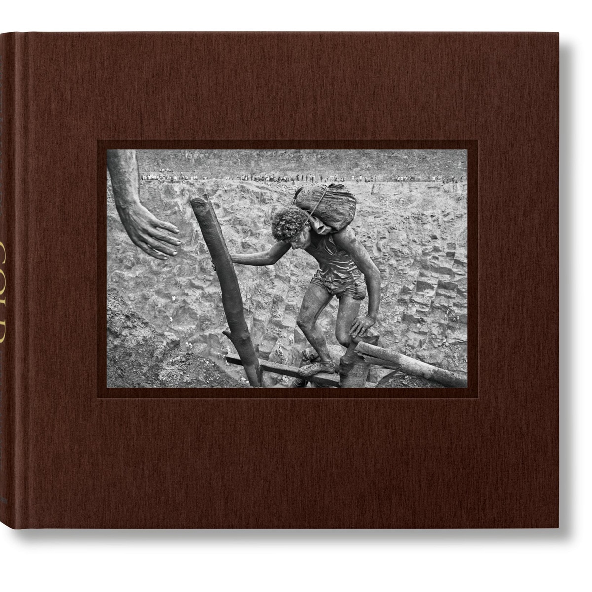 Sebastião salgado. Gold 1