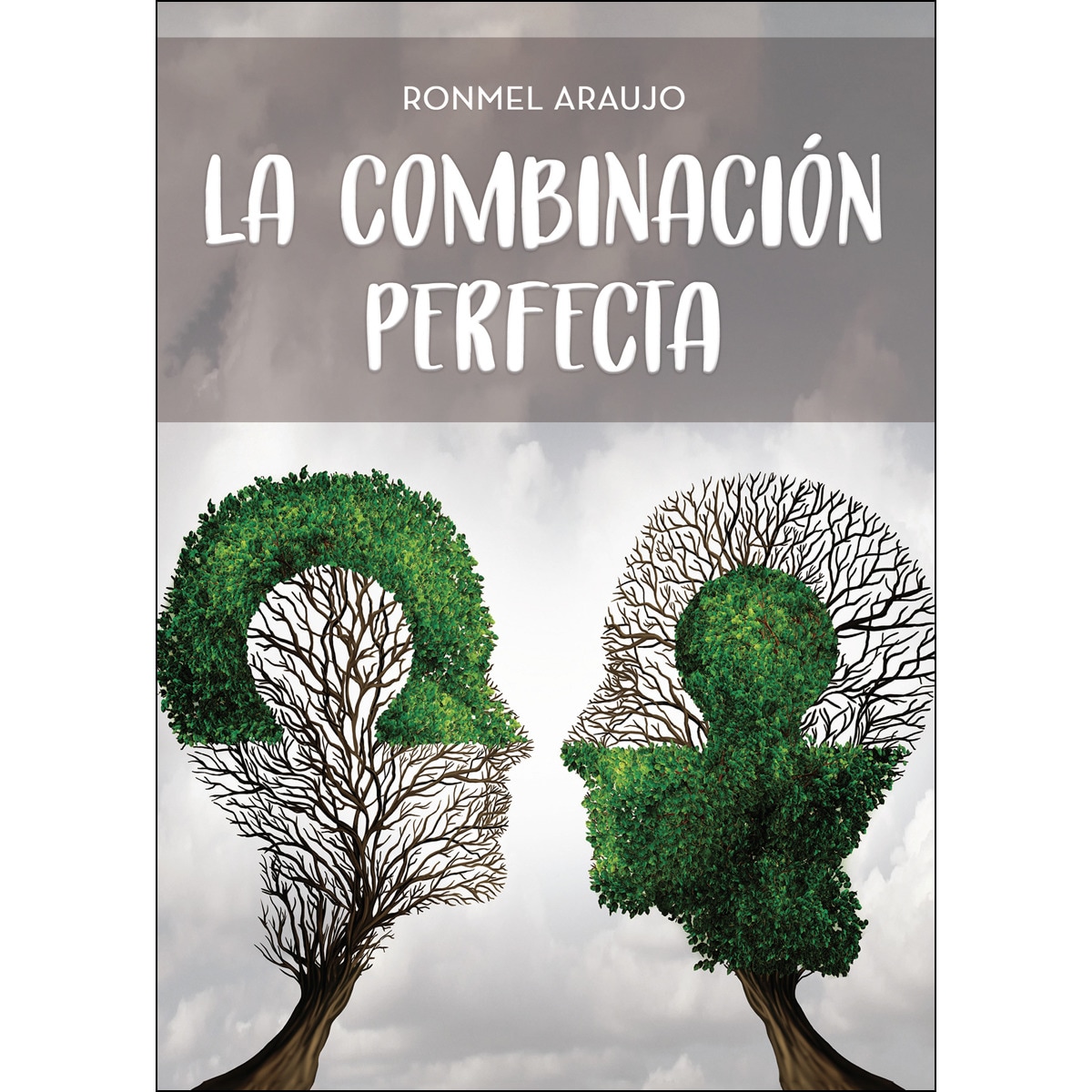 La combinación perfecta(Tapa blanda) 1
