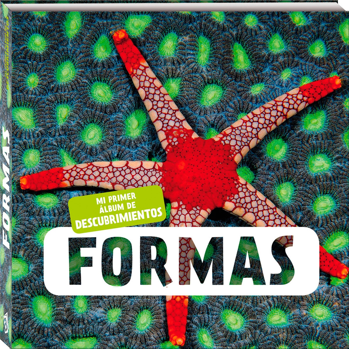 Formas 1