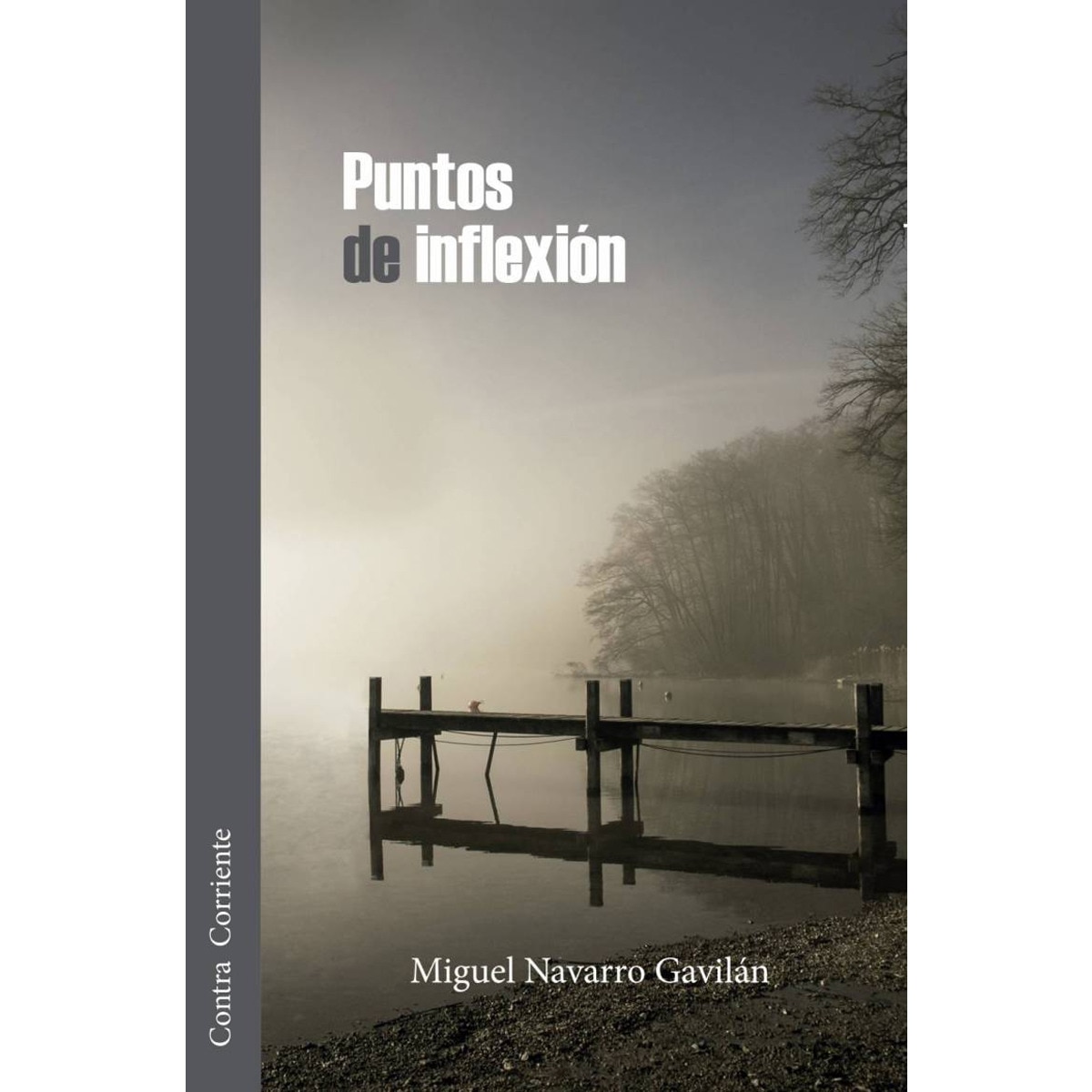 Puntos de inflexión(Tapa blanda) 1