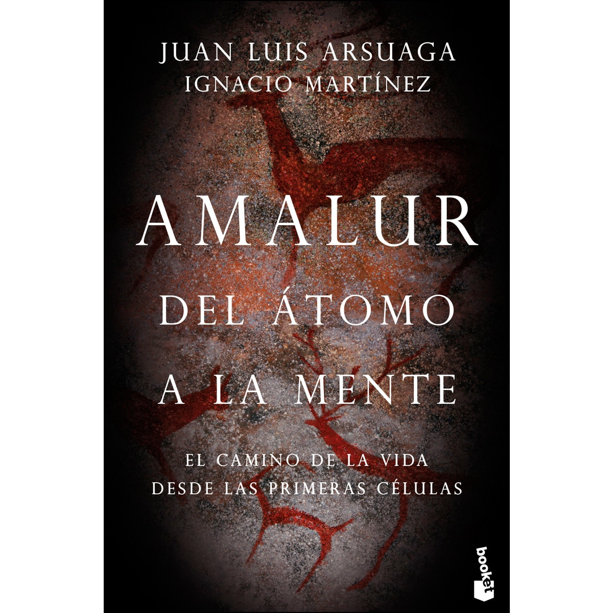 Imagem 0 de Amalur: Del átomo a la mente(Bolsillo) (Tapa blanda)