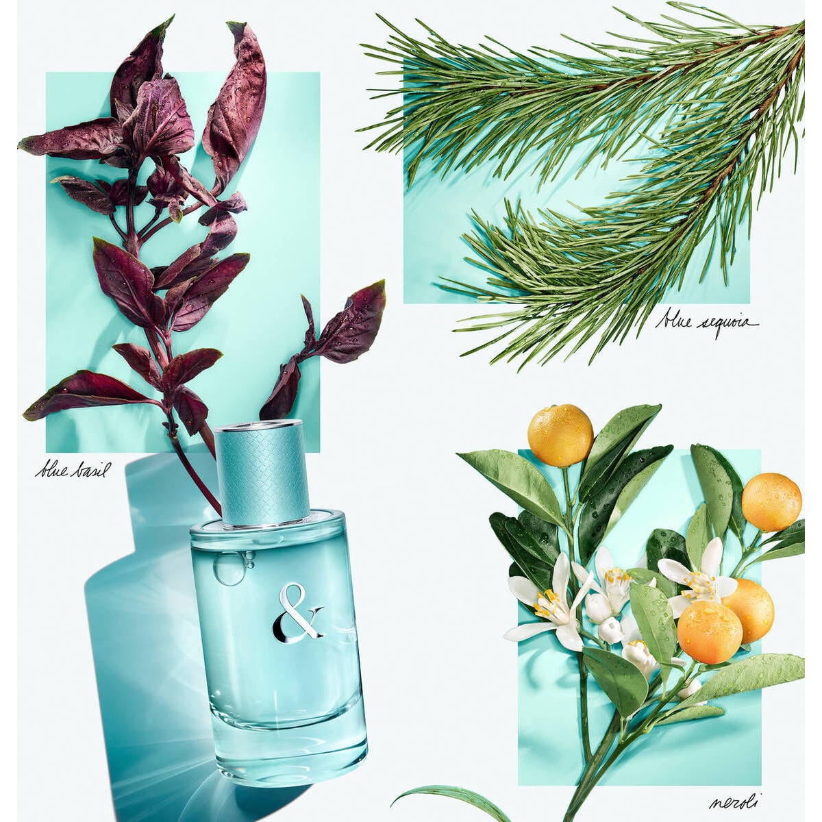 Eau de Toilette For Him Tiffany & Love 4