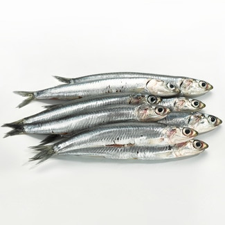 Boquerones