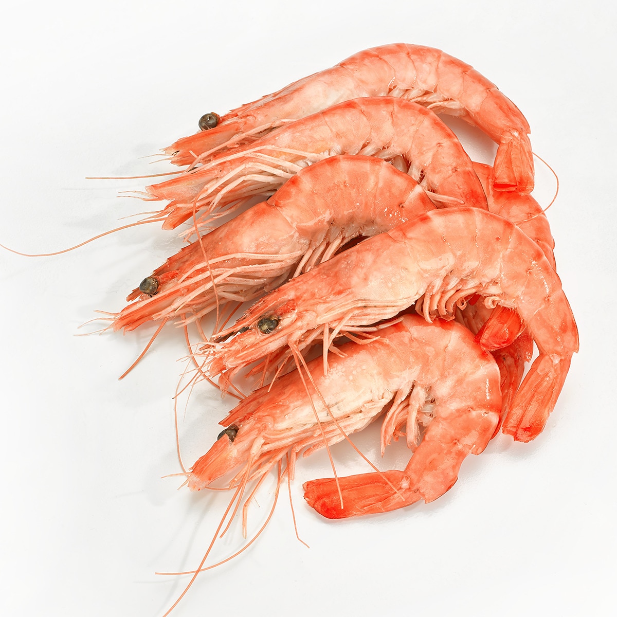 Langostino cocido ASC 20-30 pzas/kg