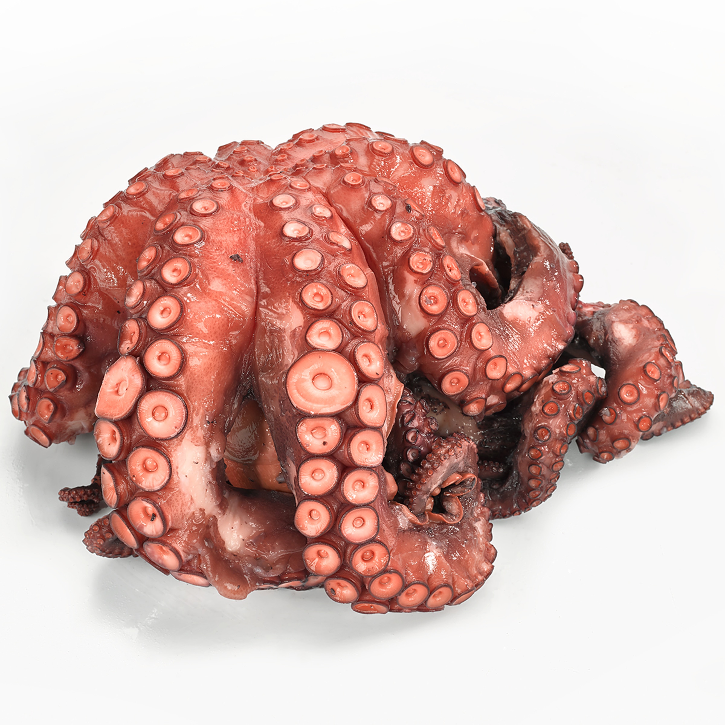 Pulpo cocido grande peso aproximado pieza 2,5 kg