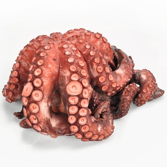 Pulpo cocido grande peso aproximado pieza 2,5 kg