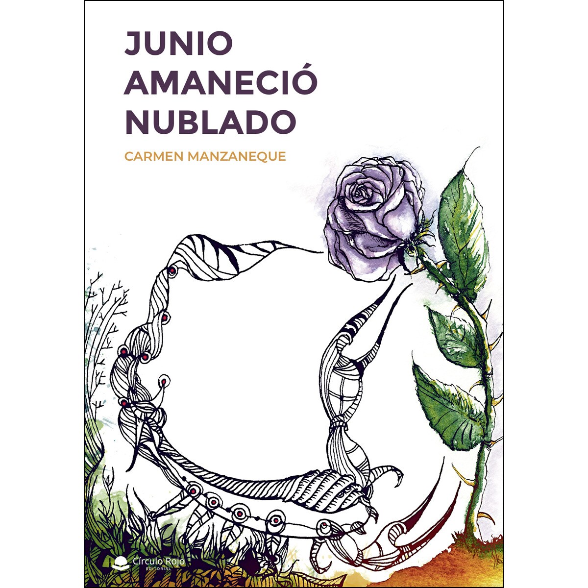 Imagem 0 de Junio amaneció nublado (Capa mole)