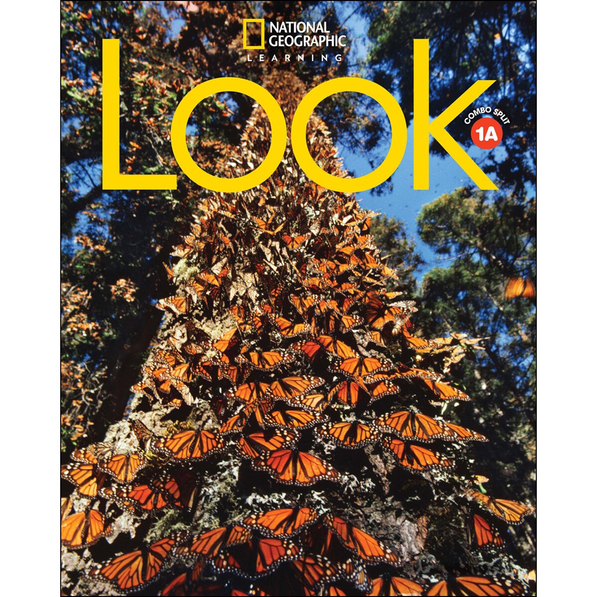 Look 1 a combo split 1