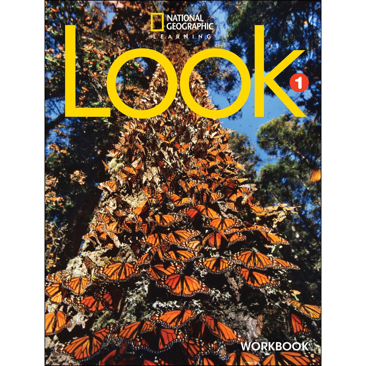 Look 1 ejercicios 1