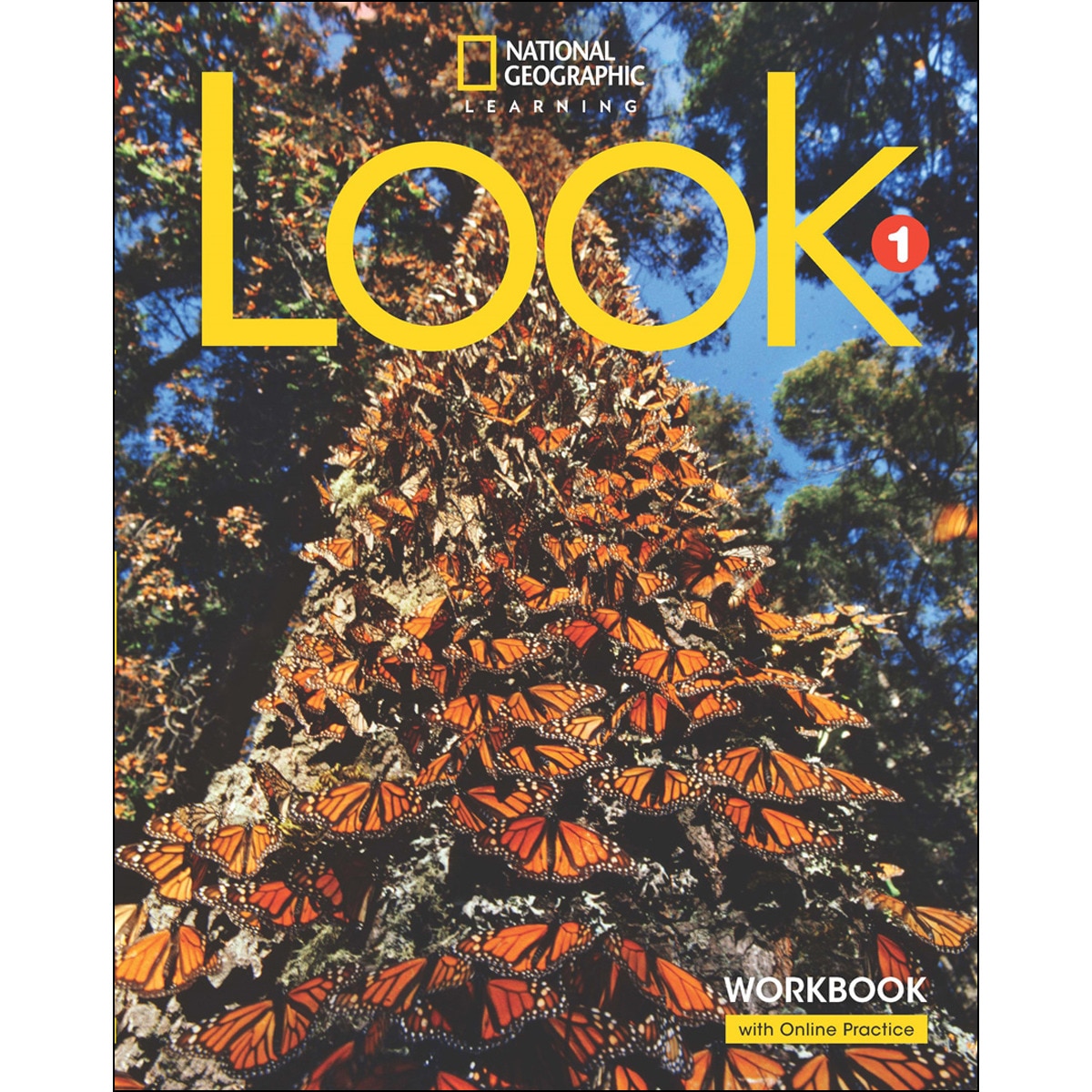 Look 1 ejercicios + online practice 1
