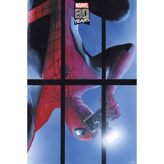 Imagem 0 de Póster Marvel Homem-Aranha 80 anos
