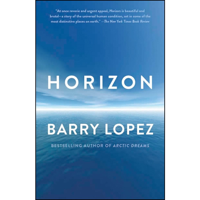 Horizon 1