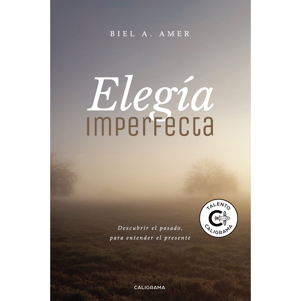Elegía imperfecta(Tapa blanda) 1