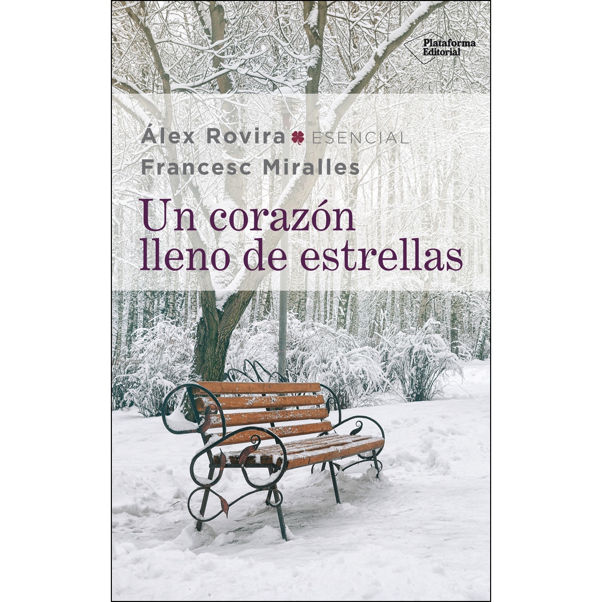 Un corazón lleno de estrellas (Capa mole com abas) 1