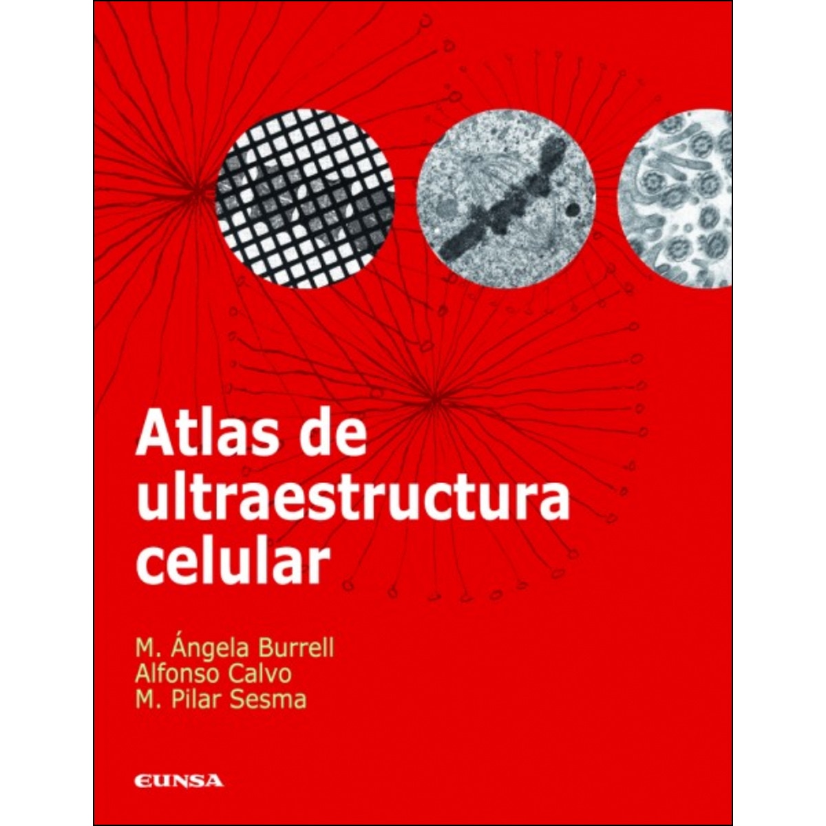 Imagem 0 de Atlas de ultraestructura celular(Tapa blanda)