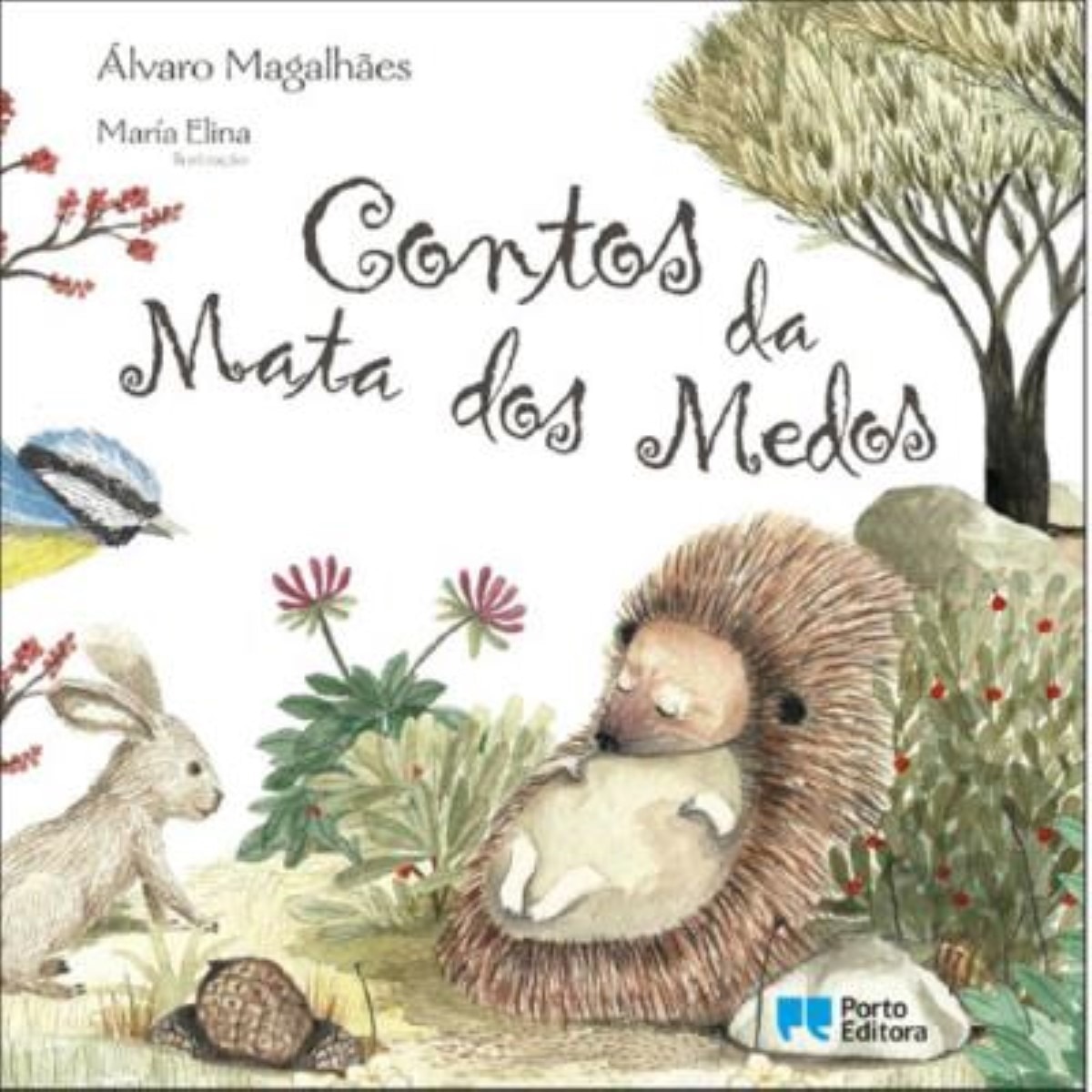 Imagem 0 de Contos da Mata dos Medos