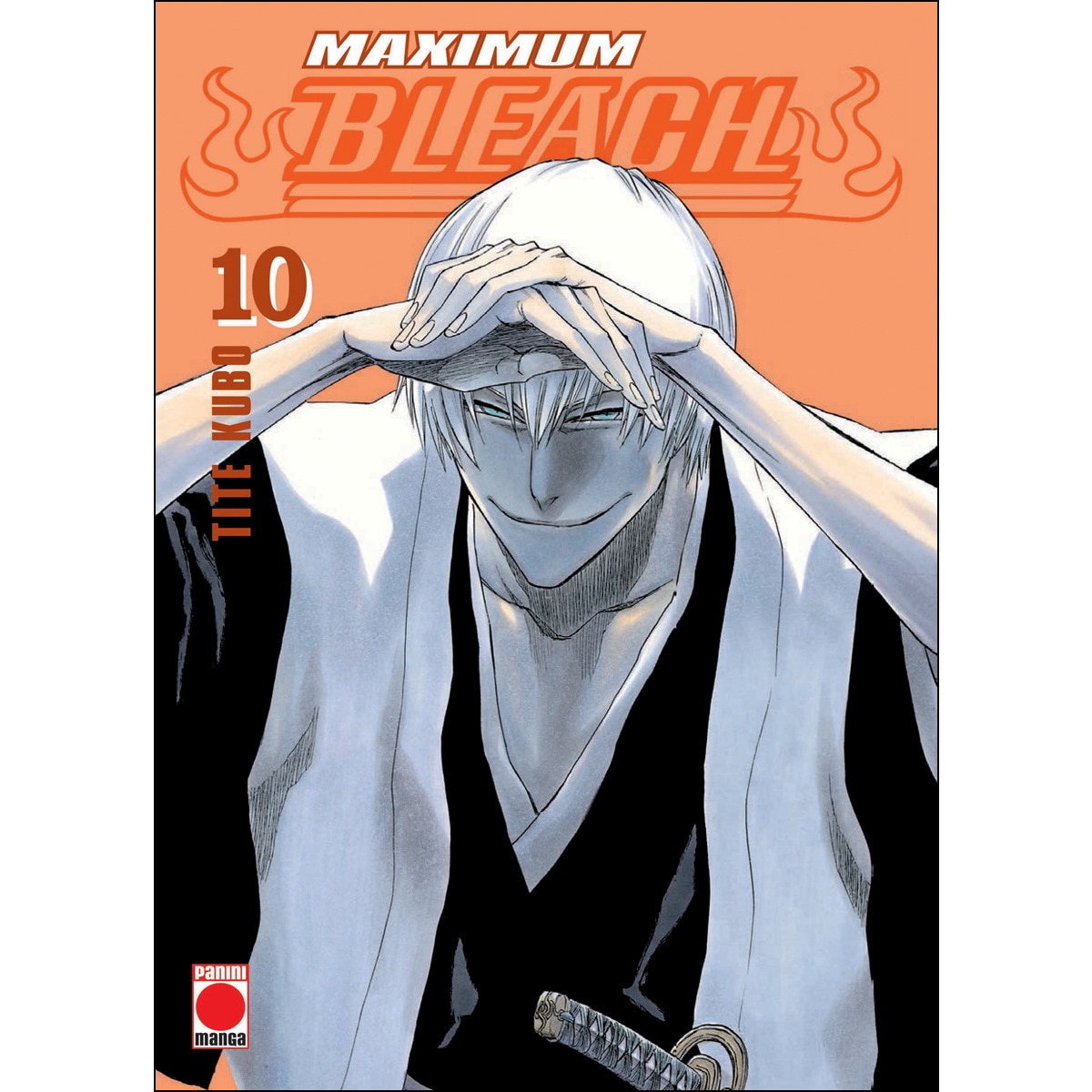 MAXIMUM BLEACH 10 (Capa mole) 1